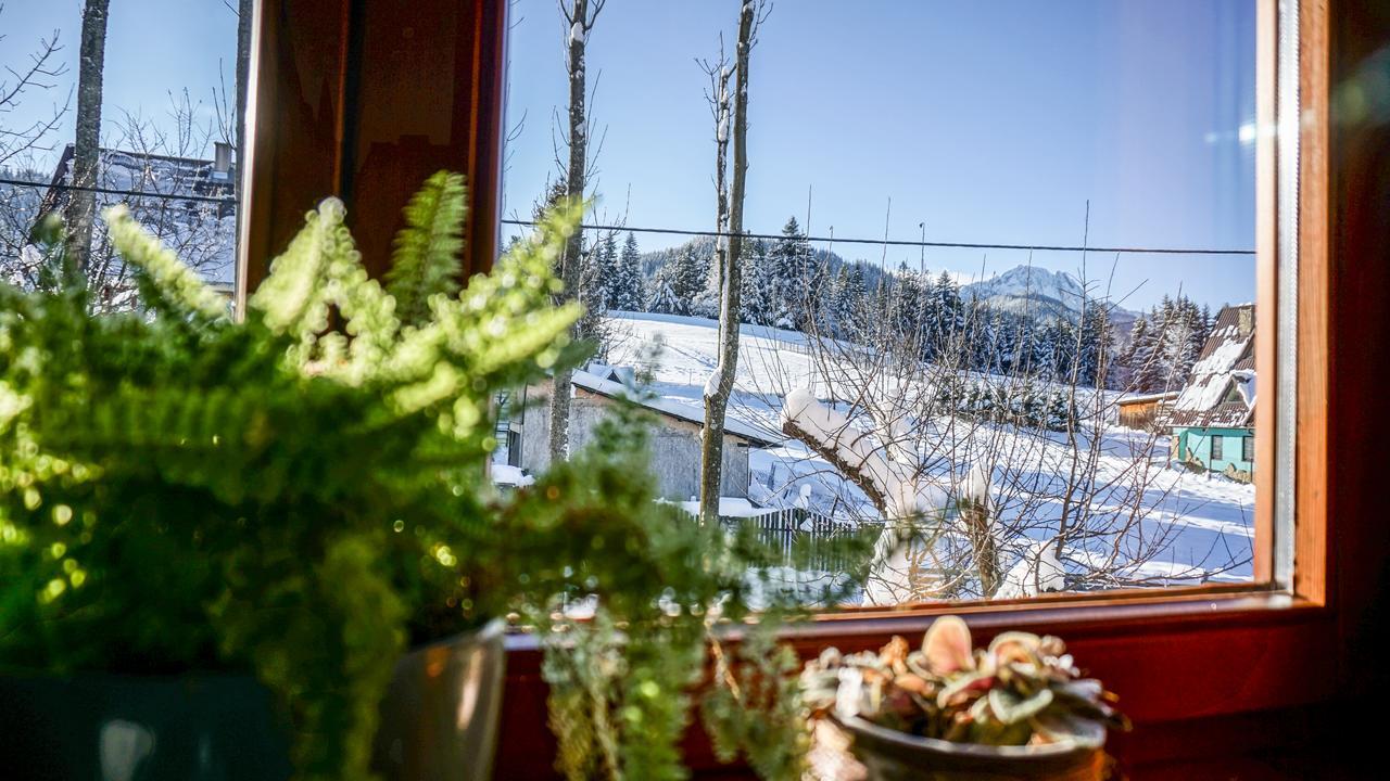 Msc Apartments Honeymoon Закопане Екстер'єр фото